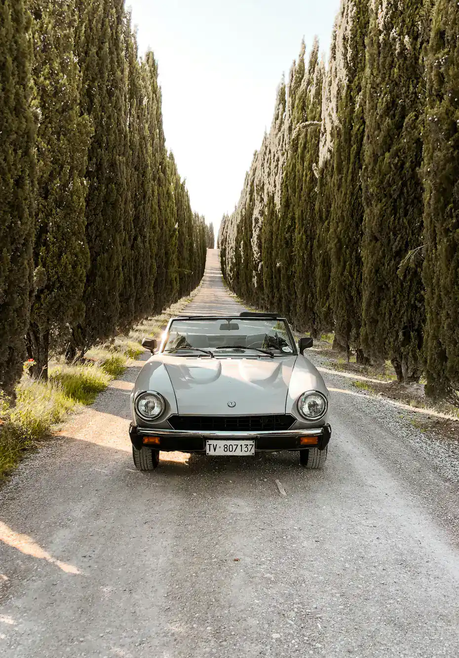 A silver convertible drives along a tree-lined country road on a sunny day, perfect for a scenic ride.